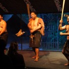 Maori for a Night: Haka, Hongi and Hangi in Tamaki Village