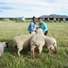 At Home on a New Zealand Sheep Farm